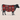 Whole Grass-fed Grass Finished Cow Share