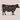 Quarter Grass-fed Grass Finished Cow Share