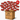 Carnivore Blend Brick Box| 24 × 1 lb.