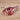 Ribeye Steak, Bone In